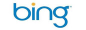 search-engine-optimisation-bing